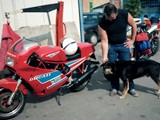 Folie31